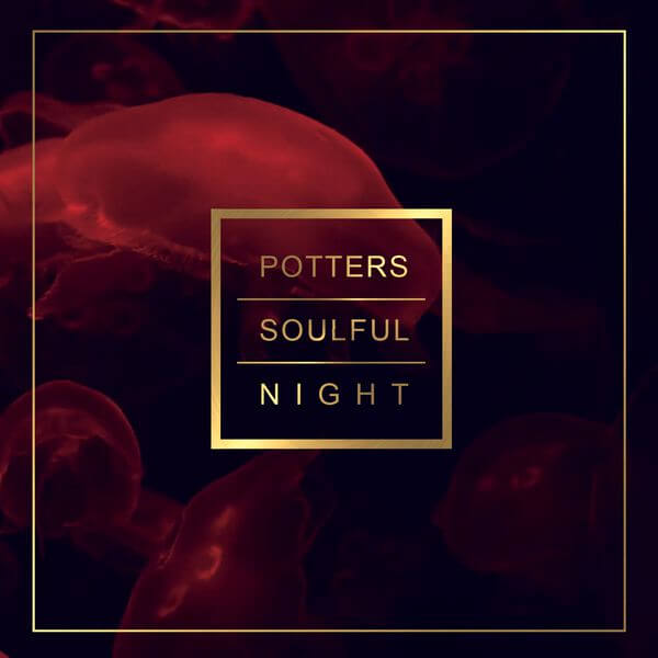 Potters Soulful Night | Tanzvergnügen Vol. 87